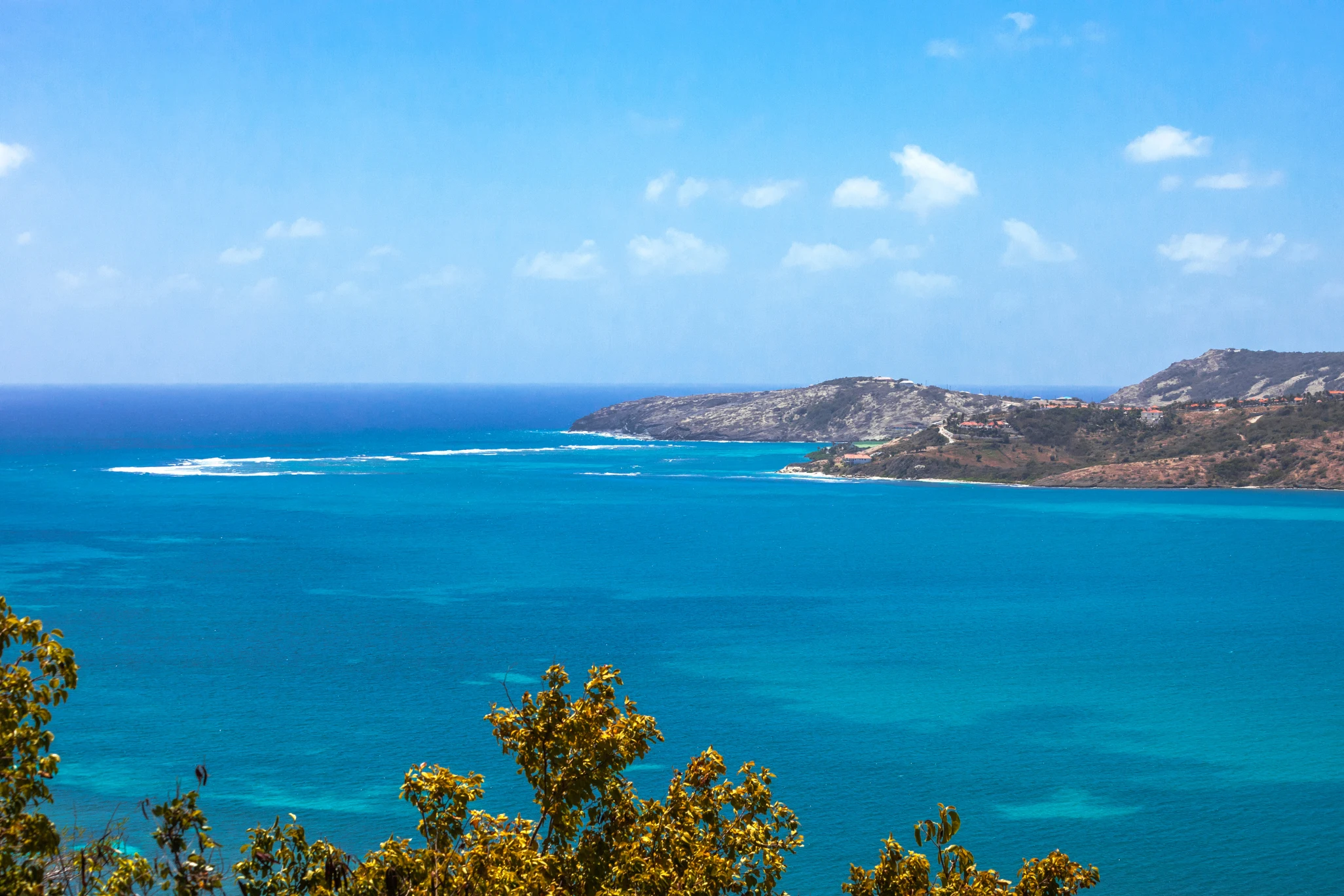 Willoughby Bay, Antigua — turquoise Caribbean water meeting a distant peninsula, foreground plants framing the view.