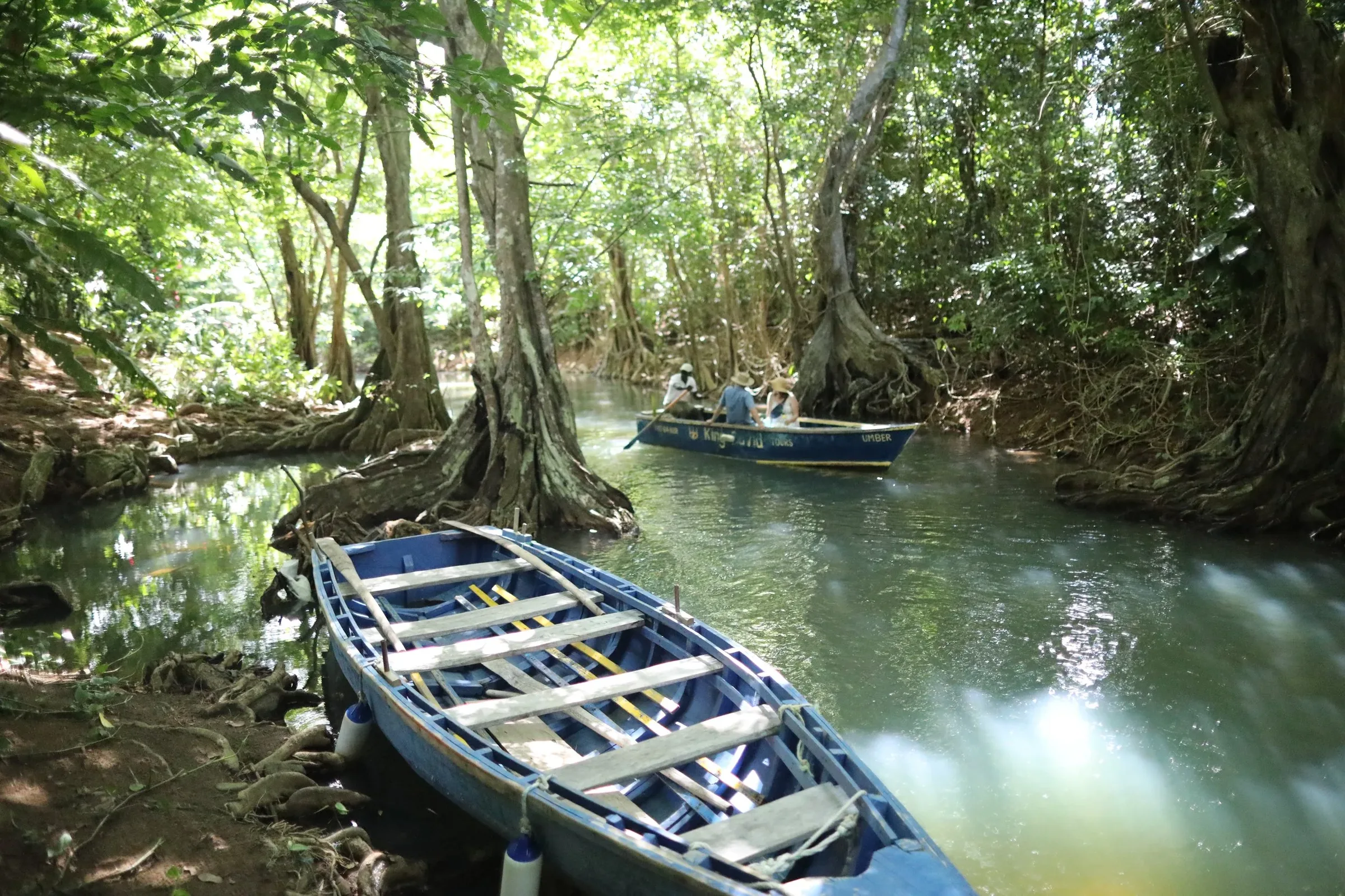 Indian River — Dominica
